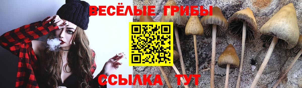 Галлюциногенные грибы прущие грибы Дзержинский